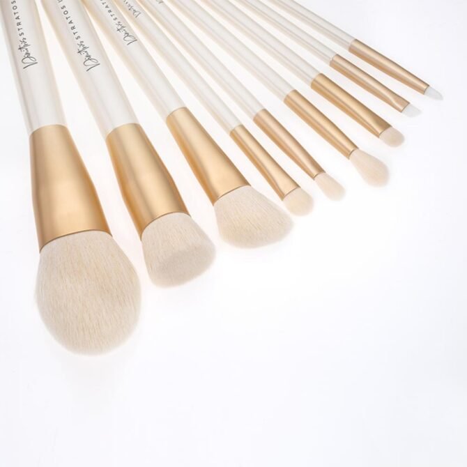 FULL BRUSH SET + GIFT BAG