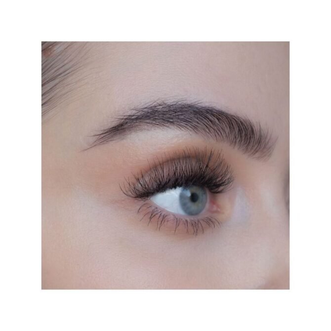 SWEED ALL BLACK Eyelashes